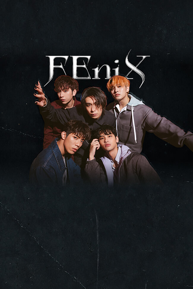 關於-FEniX